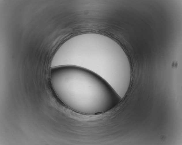 X0000111020035200906191241