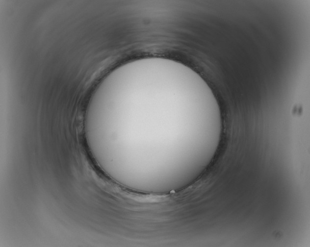 X0000111020036200906191241