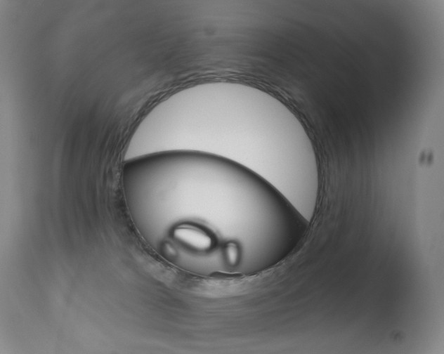 X0000111020037200906191241