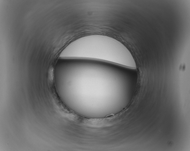 X0000111020041200906191241