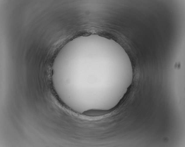 X0000111020043200906191241