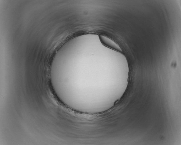 X0000111020044200906191241