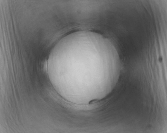 X0000111020046200906191241
