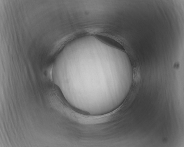 X0000111020047200906191241