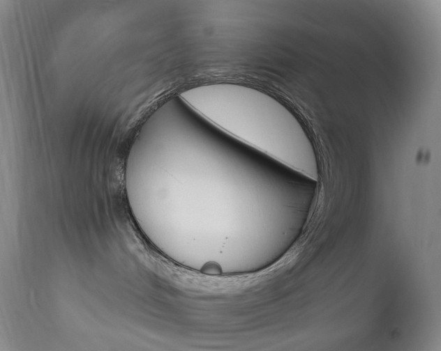 X0000111020048200906191241