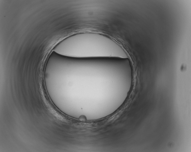 X0000111020049200906191240