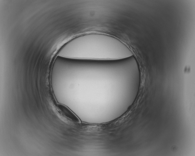 X0000111020050200906191240
