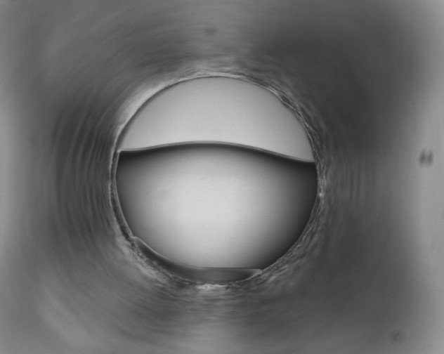 X0000111020052200906191240