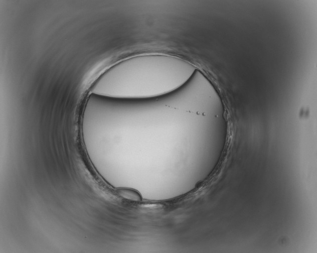 X0000111020053200906191240