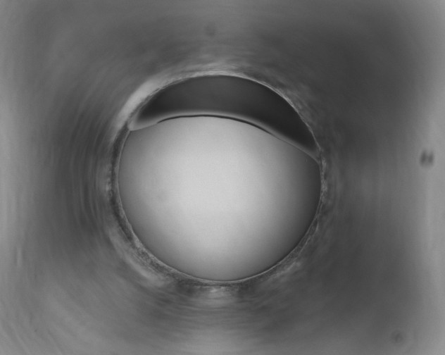 X0000111020056200906191240