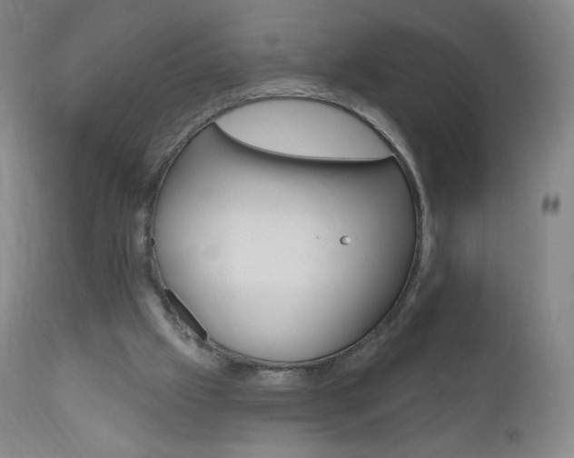 X0000111020057200906191240