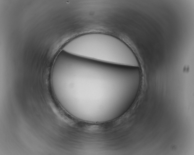 X0000111020058200906191240