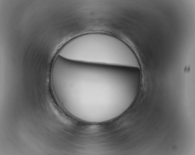 X0000111020059200906191240