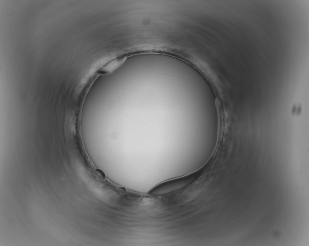 X0000111020060200906191240