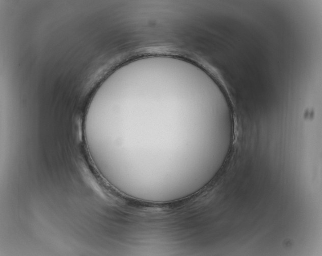 X0000111020061200906191240