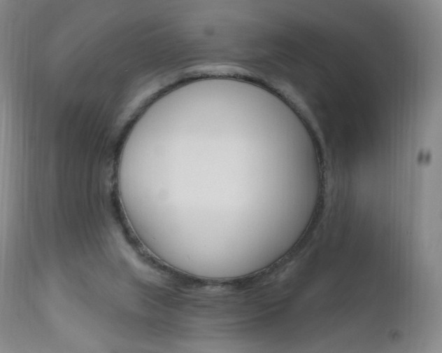 X0000111020063200906191241