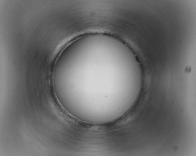 X0000111020064200906191241