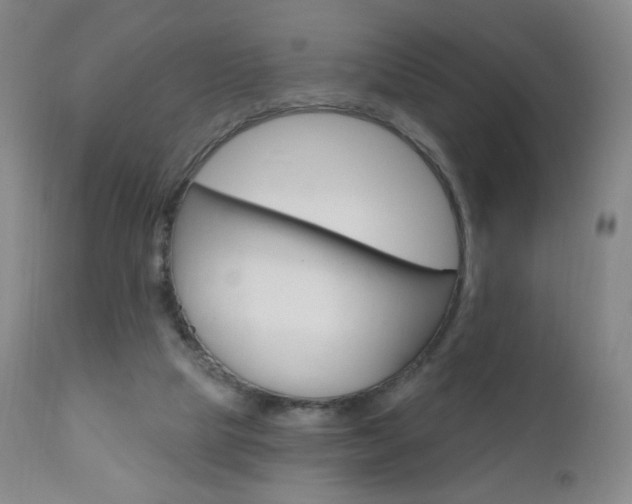 X0000111020065200906191241