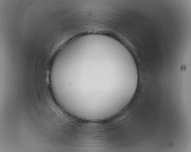 X0000111020067200906191241