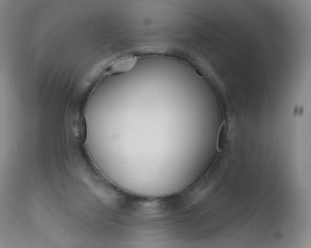 X0000111020068200906191241