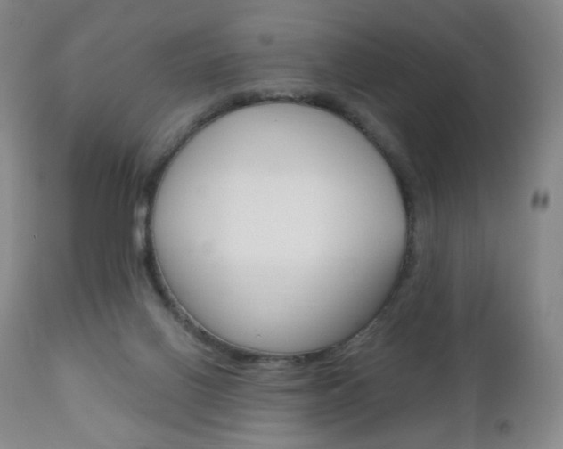 X0000111020070200906191241