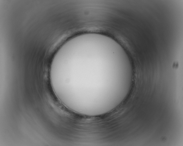 X0000111020072200906191241