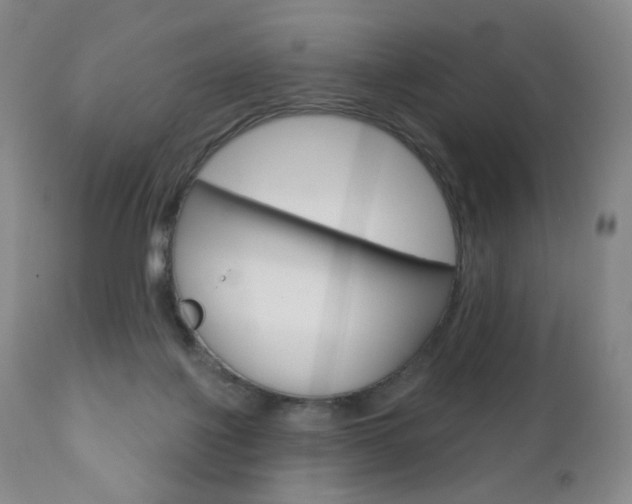 X0000111020075200906191241