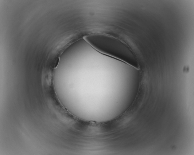 X0000111020076200906191241