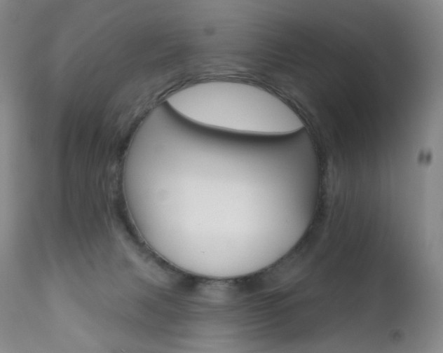X0000111020079200906191241