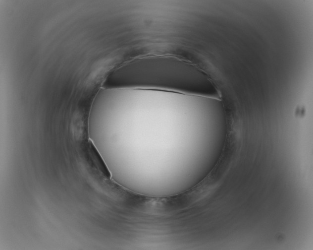 X0000111020080200906191241