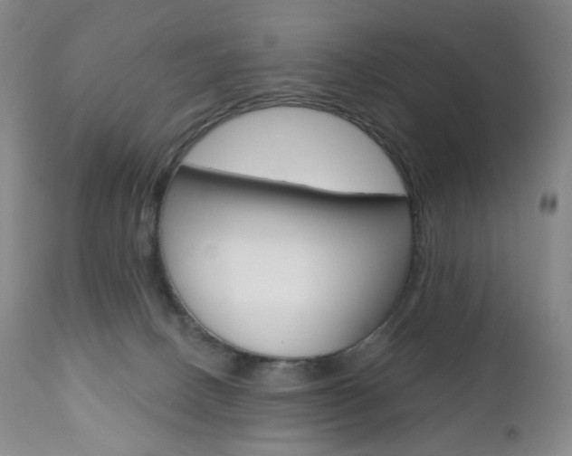 X0000111020082200906191241