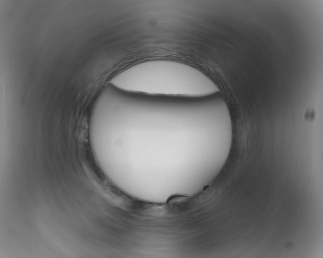 X0000111020083200906191241
