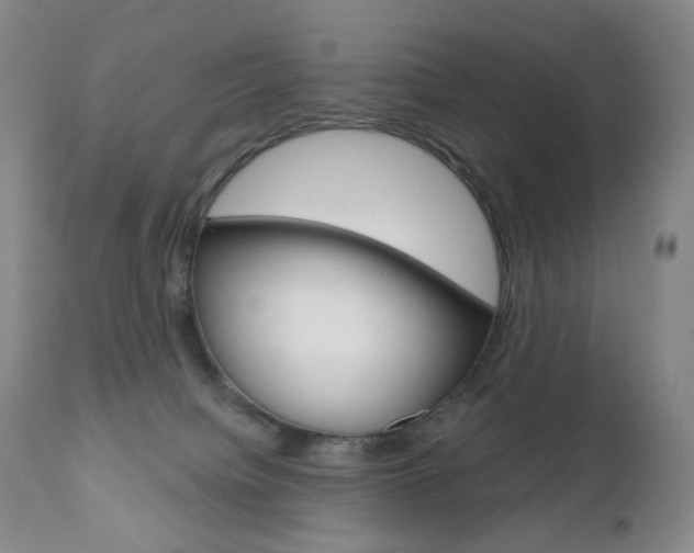 X0000111020084200906191241