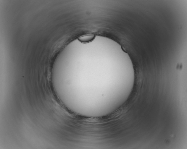 X0000111020085200906191241