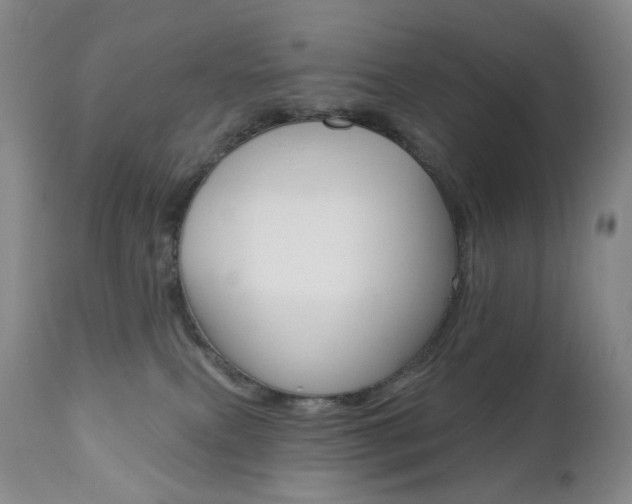 X0000111020087200906191241