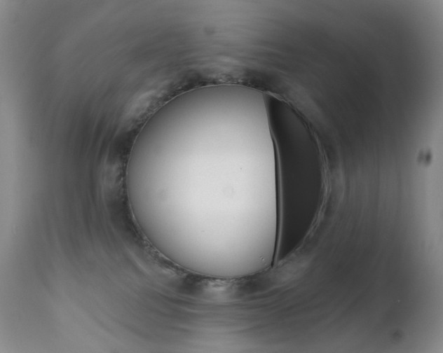 X0000111020088200906191241