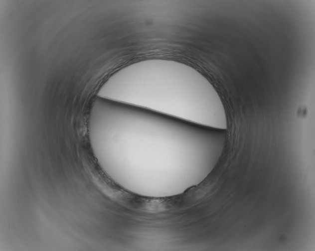 X0000111020091200906191241