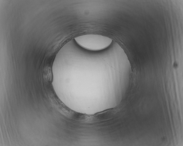 X0000111020093200906191241