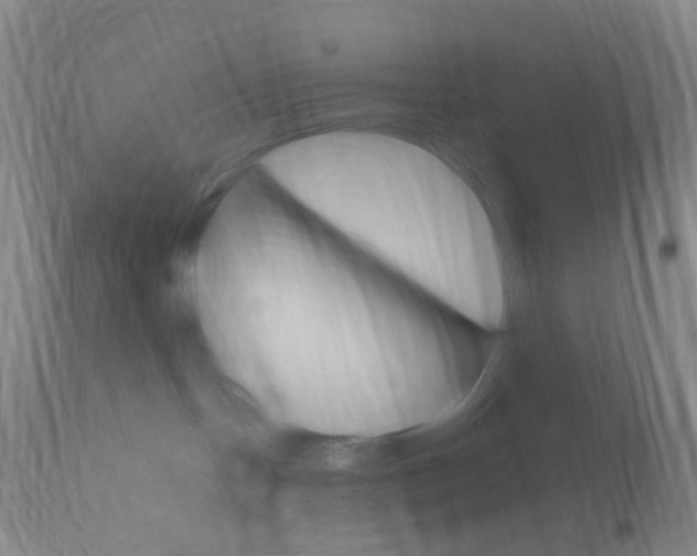 X0000111020094200906191241