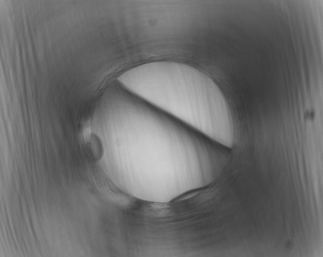 X0000111020095200906191241
