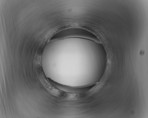 X0000111020096200906191241