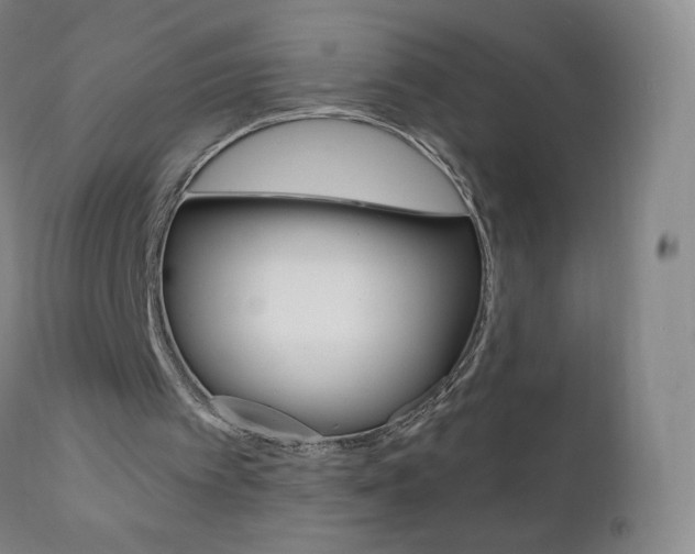 X0000111020097200906191240