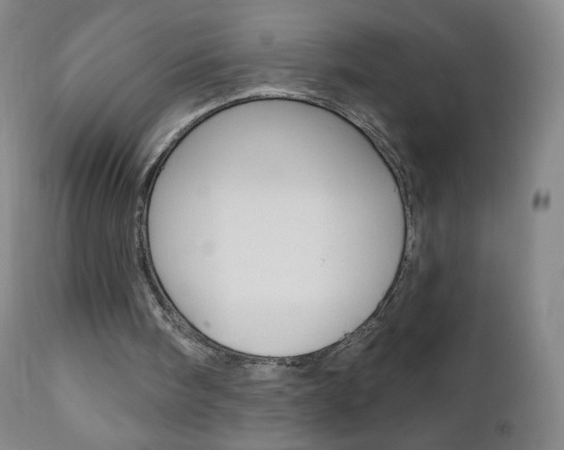 X0000111020098200906191240