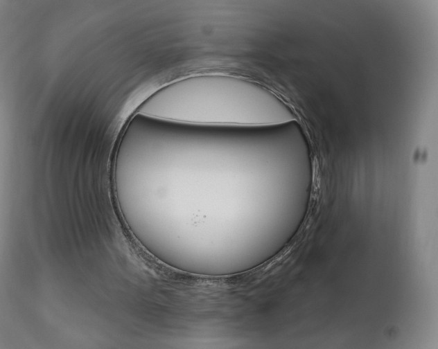 X0000111020099200906191240