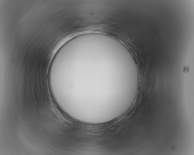 X0000111020100200906191240