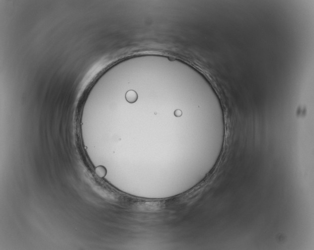 X0000111020102200906191240