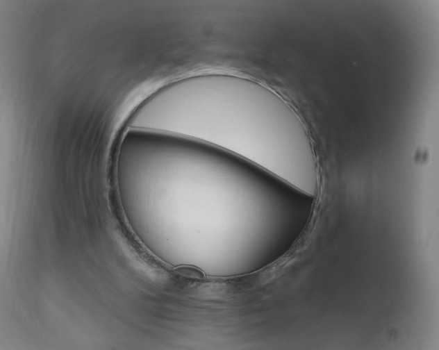 X0000111020104200906191240