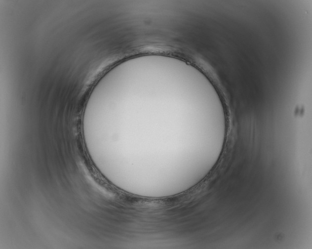 X0000111020106200906191240