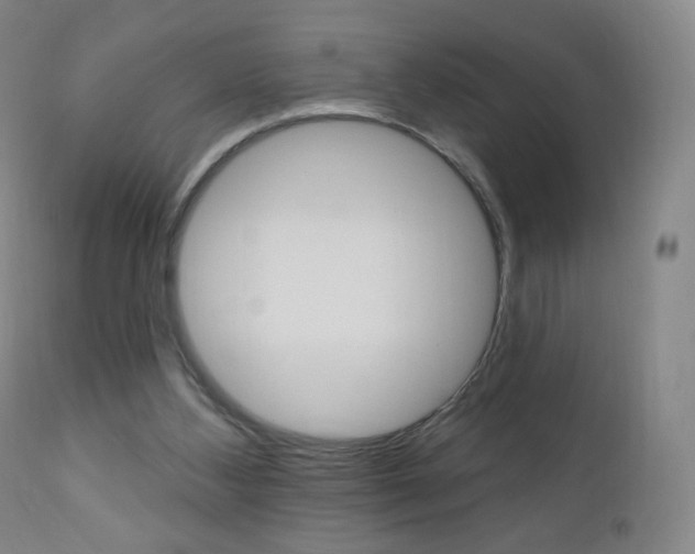 X0000111020108200906191240