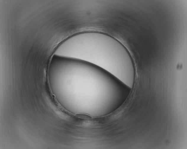 X0000111020109200906191240